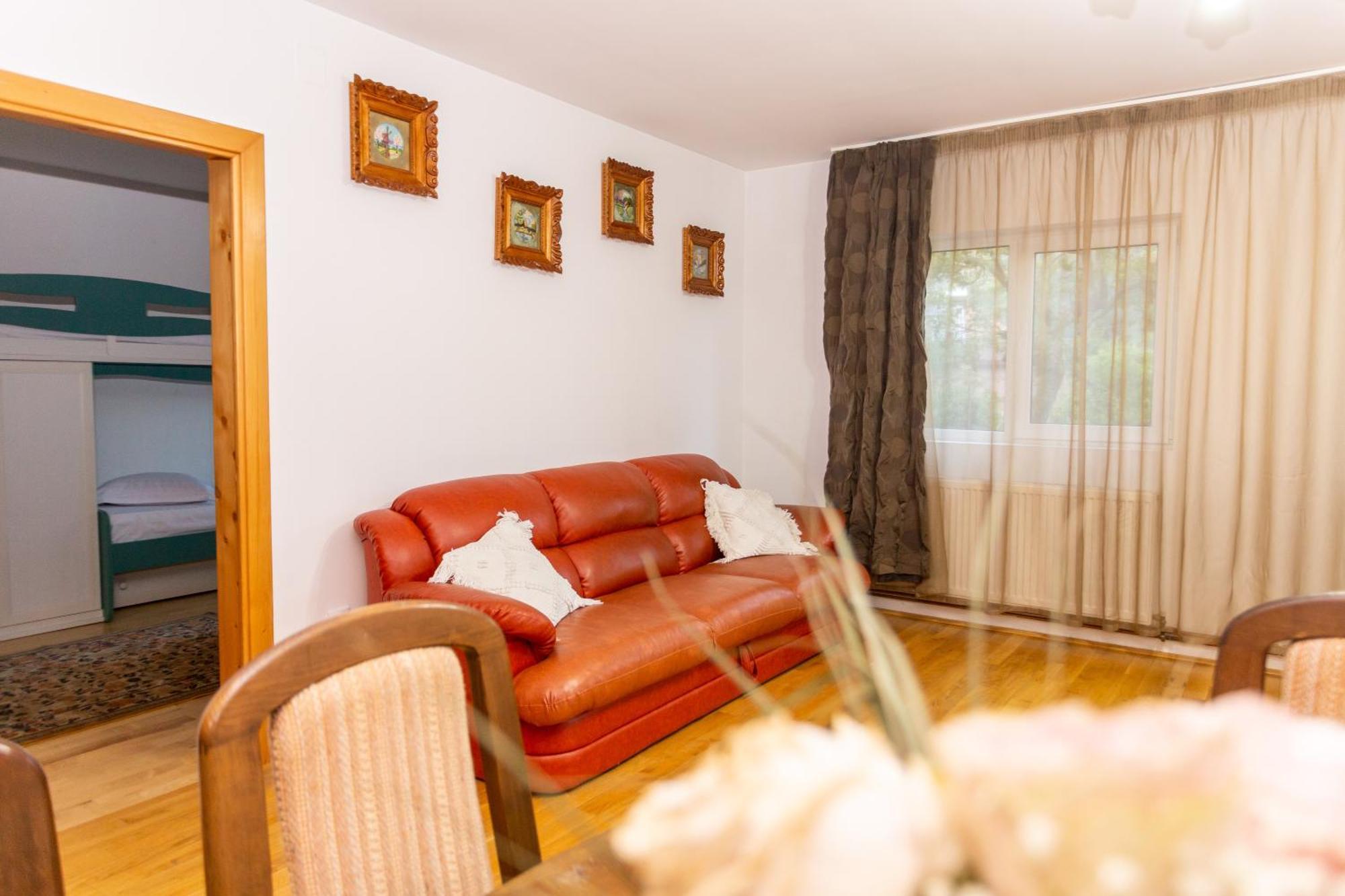 Casa Rumelia Paltineni Экстерьер фото