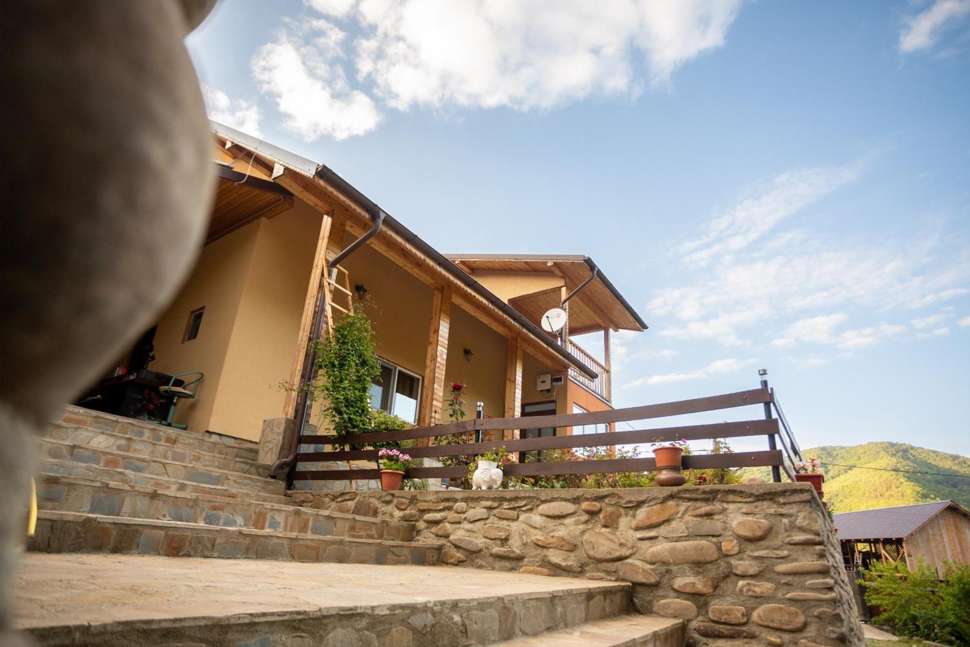 Casa Rumelia Paltineni Экстерьер фото