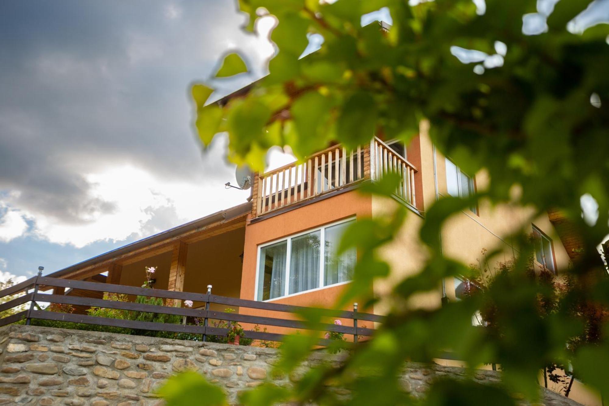 Casa Rumelia Paltineni Экстерьер фото