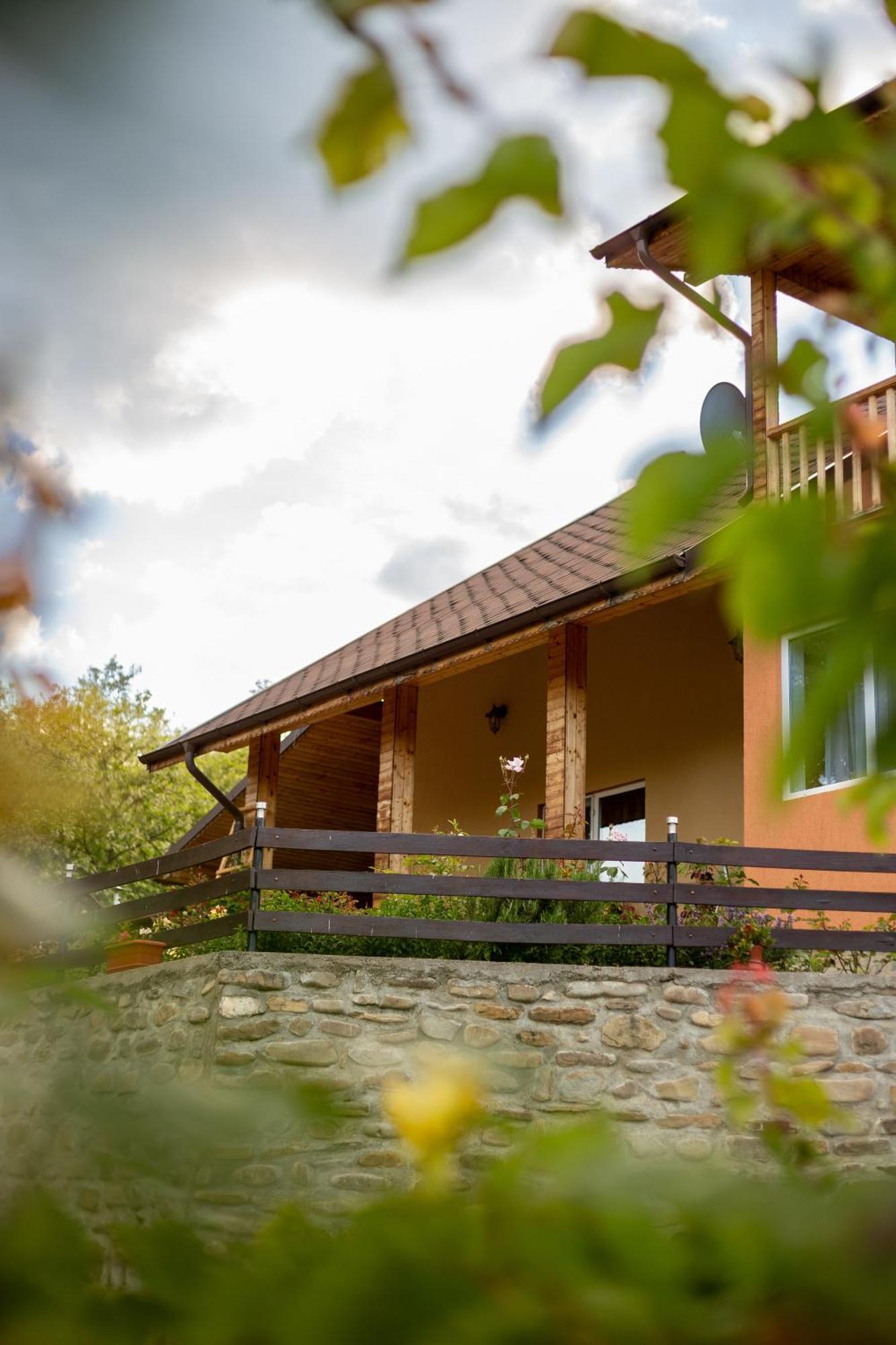 Casa Rumelia Paltineni Экстерьер фото