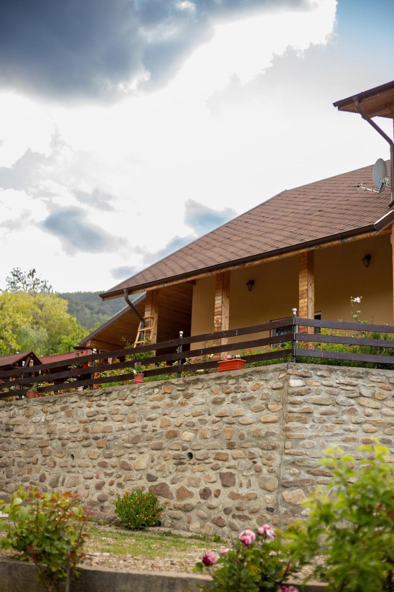 Casa Rumelia Paltineni Экстерьер фото