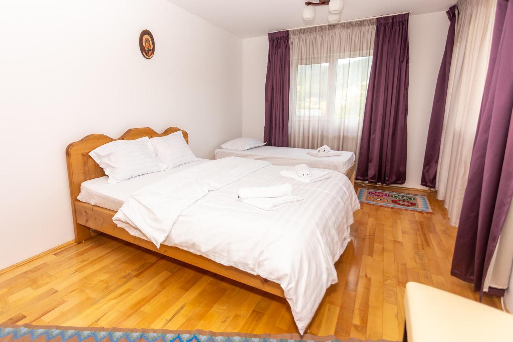 Casa Rumelia Paltineni Экстерьер фото
