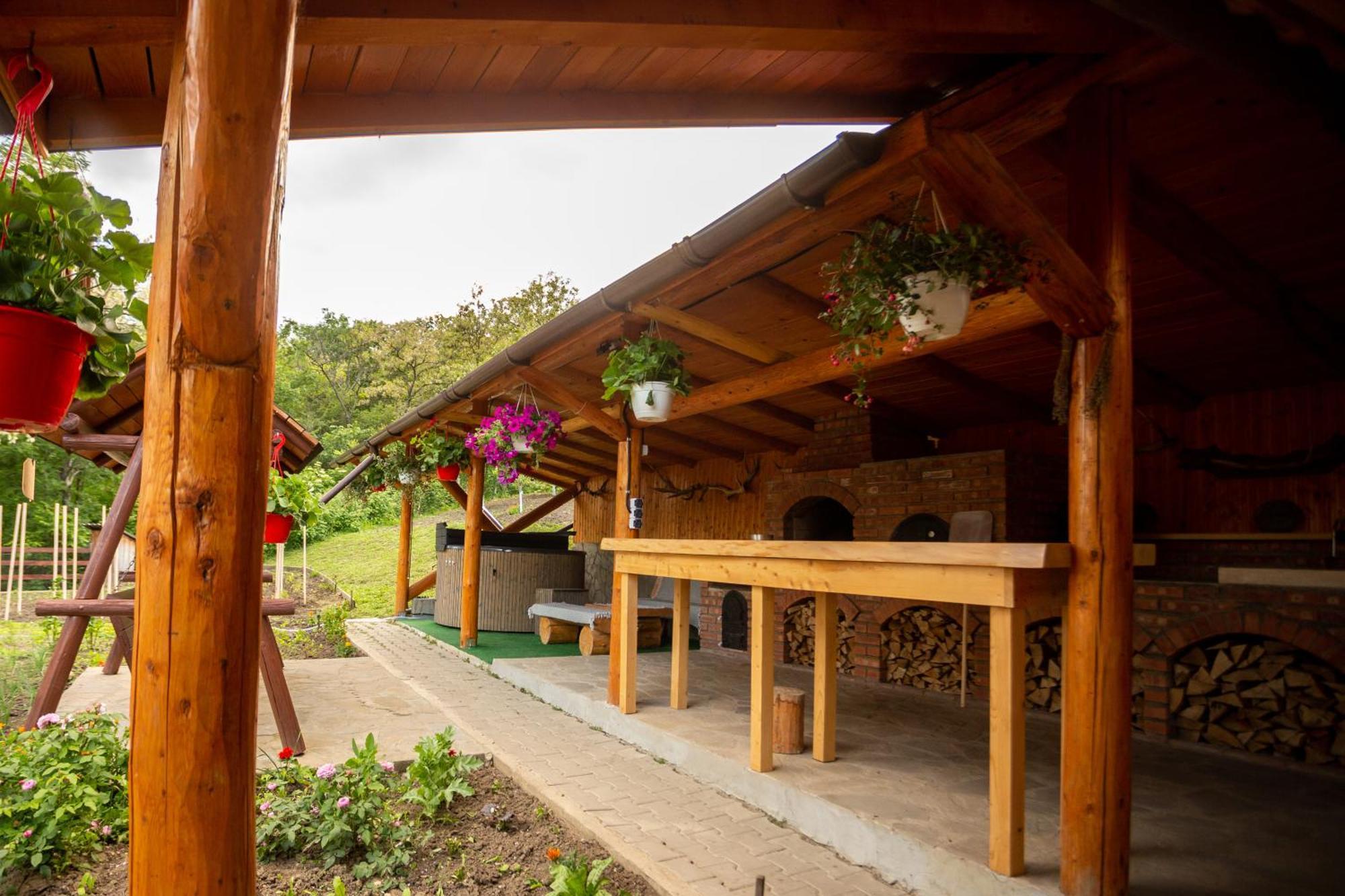 Casa Rumelia Paltineni Экстерьер фото