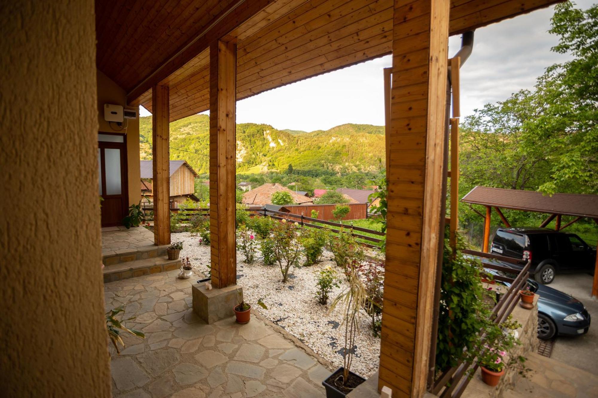 Casa Rumelia Paltineni Экстерьер фото