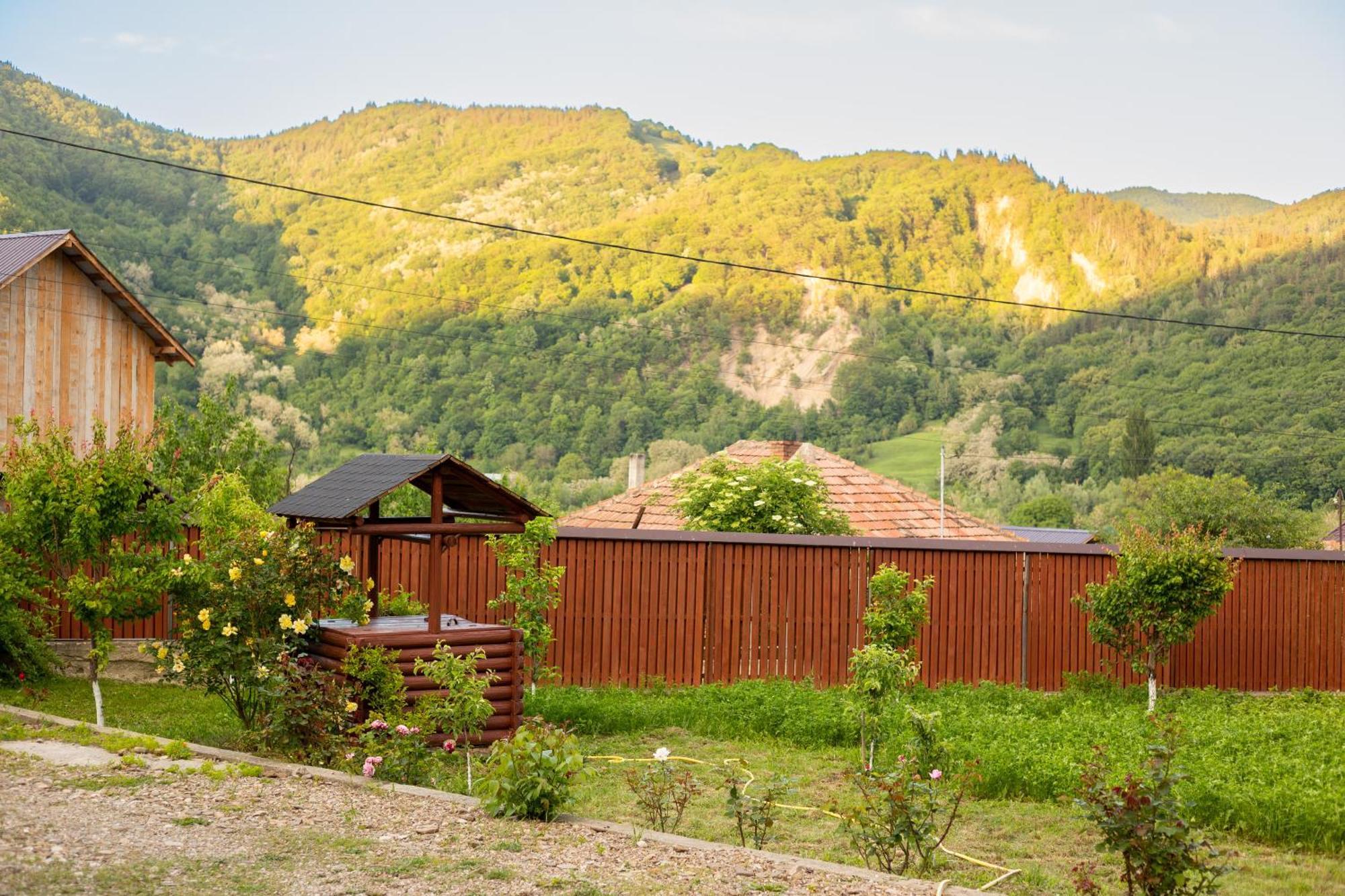 Casa Rumelia Paltineni Экстерьер фото