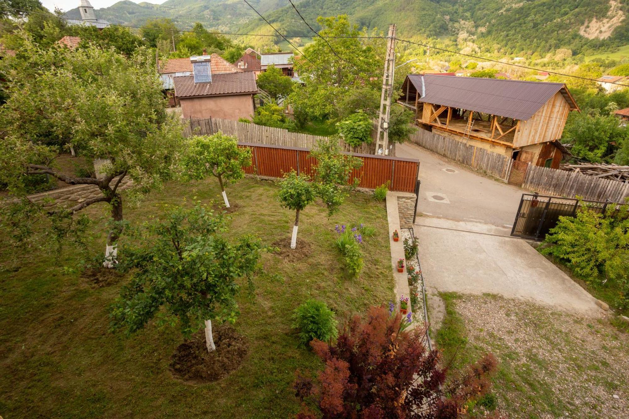 Casa Rumelia Paltineni Экстерьер фото