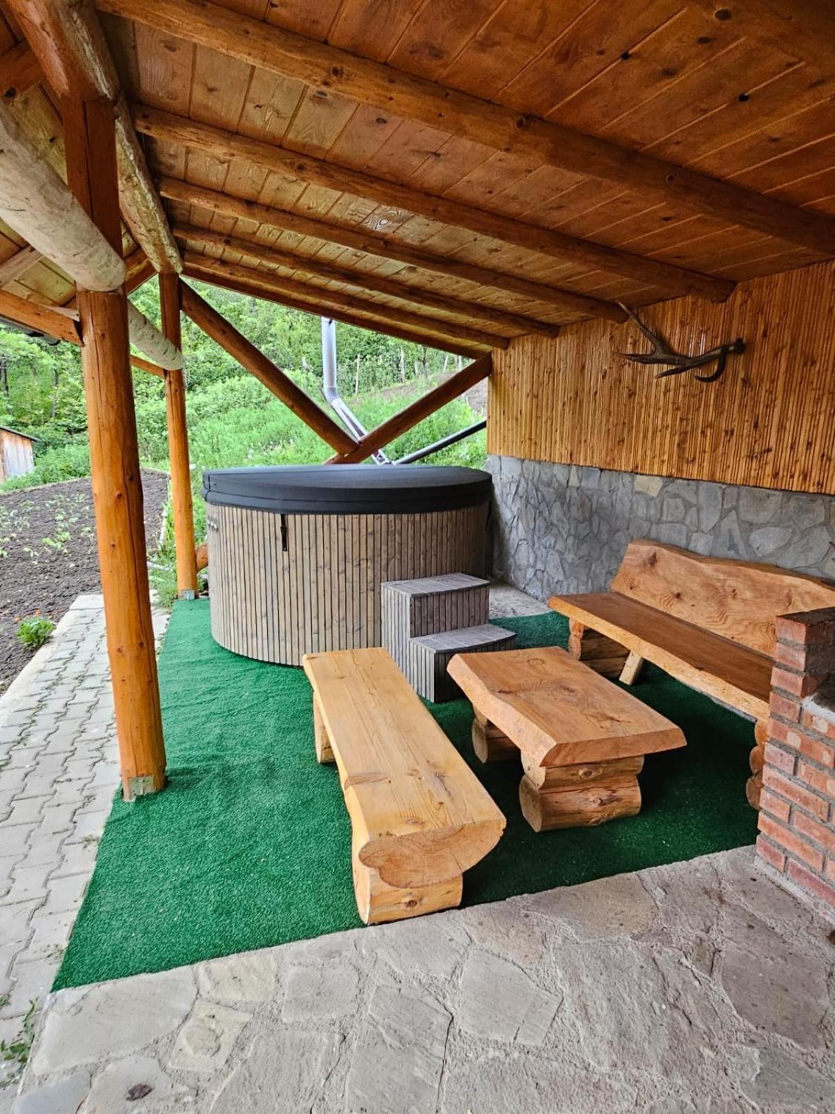 Casa Rumelia Paltineni Экстерьер фото
